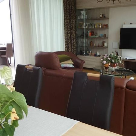 维也纳Grosses Penthouse #12 Mit Terrasse Und Aussicht公寓 外观 照片