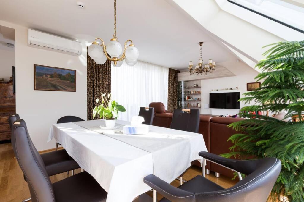 维也纳Grosses Penthouse #12 Mit Terrasse Und Aussicht公寓 外观 照片