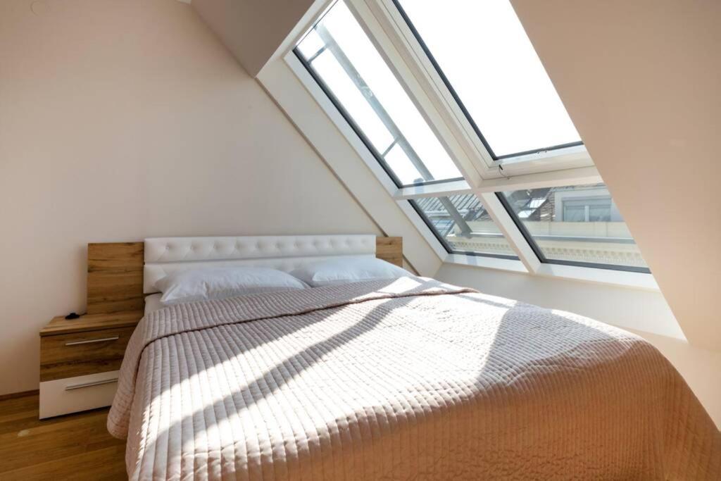 维也纳Grosses Penthouse #12 Mit Terrasse Und Aussicht公寓 外观 照片